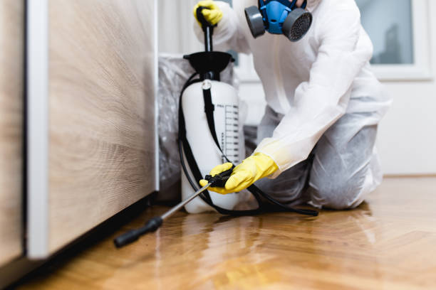 Best Exterminator Services  in Uhland, TX