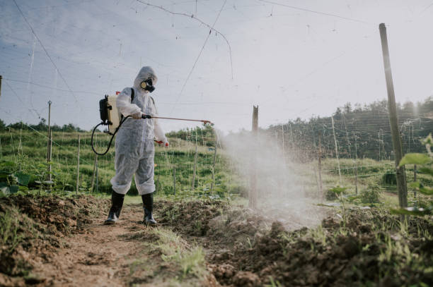 Best Ant Control Services  in Uhland, TX