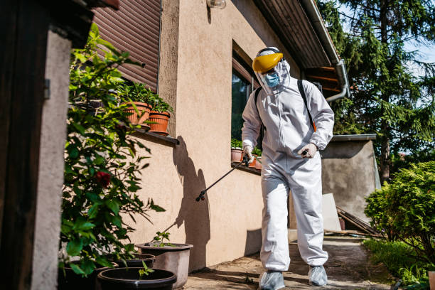 Best Flea Control Services  in Uhland, TX