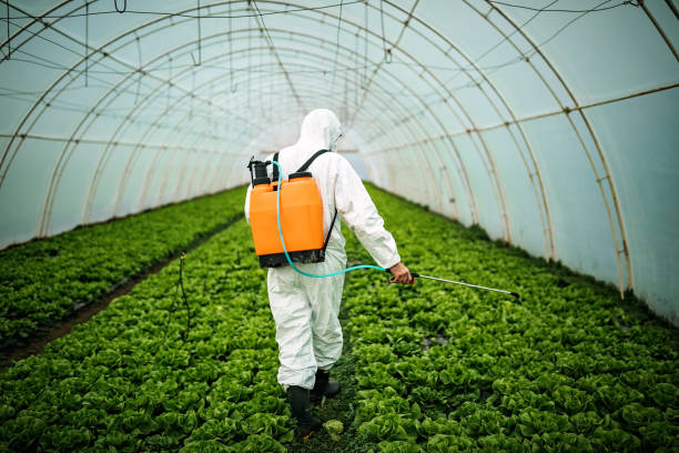 Best Best Pest Control Companies  in Uhland, TX