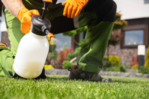 Best Local Pest Control Services  in Uhland, TX