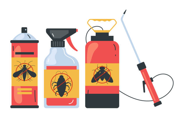 Best Pest Control Near Me in Uhland, TX