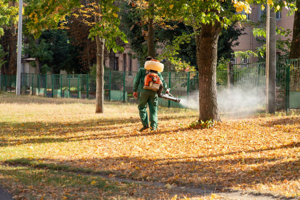 Best Emergency Pest Control  in Uhland, TX