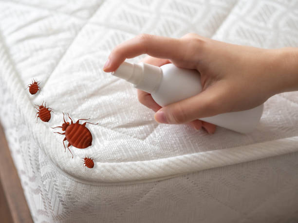 Best Cockroach Control Services  in Uhland, TX