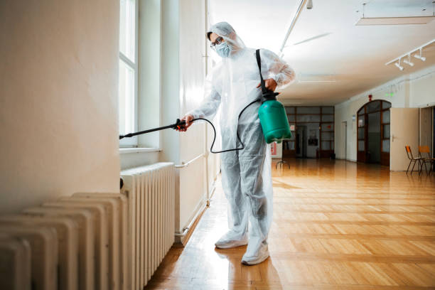 Wasp Removal Services in Uhland, TX