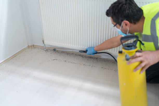 Best Commercial Pest Control Services  in Uhland, TX